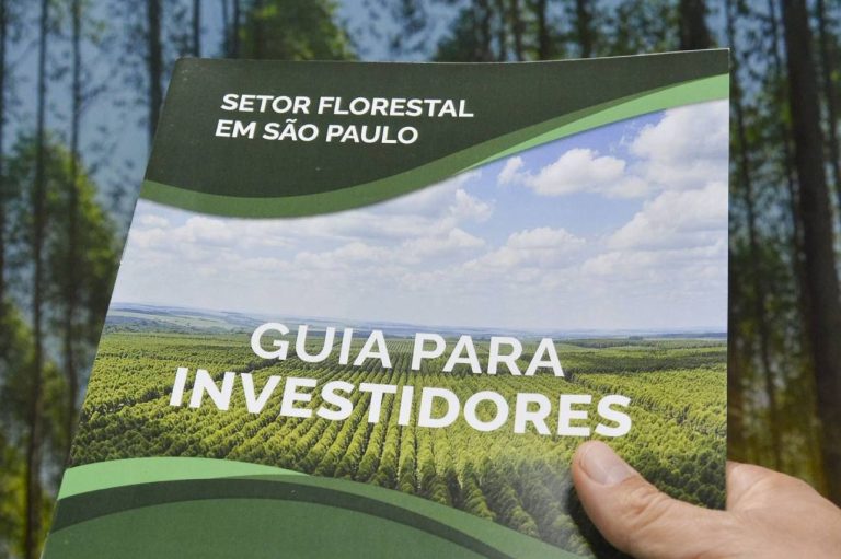 InvestSP e Florestar lançam Guia de Investimentos do Setor Florestal Paulista durante o mês do meio ambiente